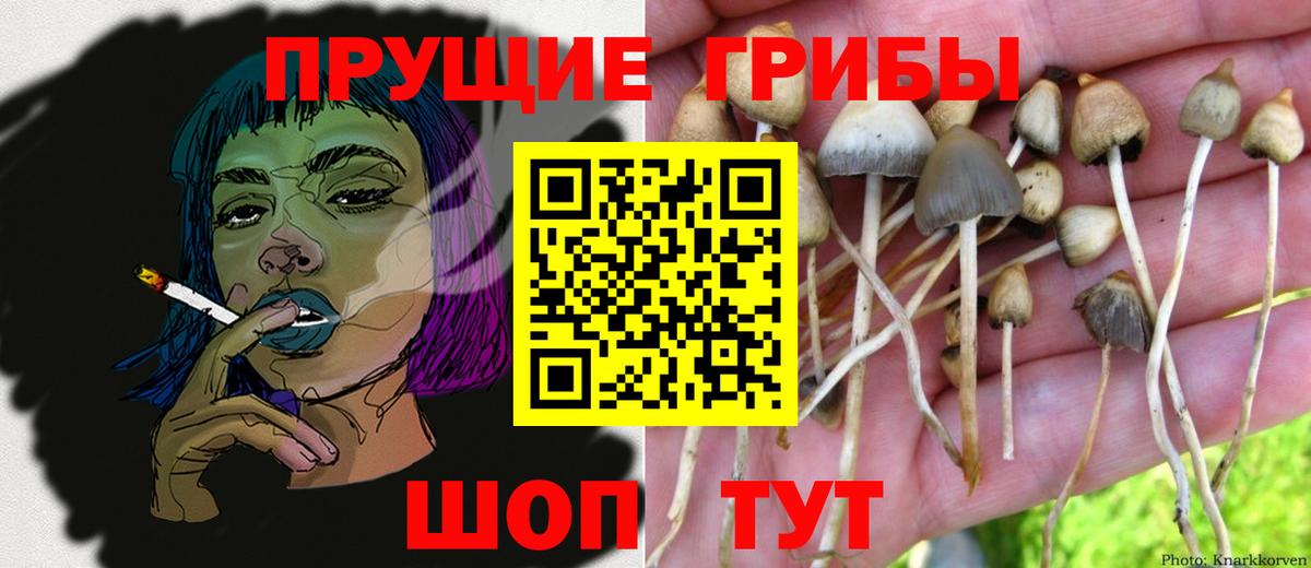 Псилоцибиновые грибы мухоморы Ишим